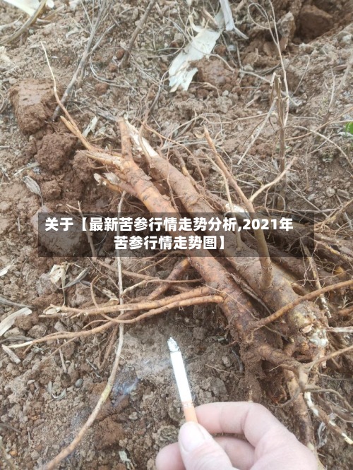 关于【最新苦参行情走势分析,2021年苦参行情走势图】