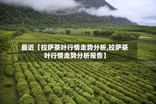 最近【拉萨茶叶行情走势分析,拉萨茶叶行情走势分析报告】-第3张图片