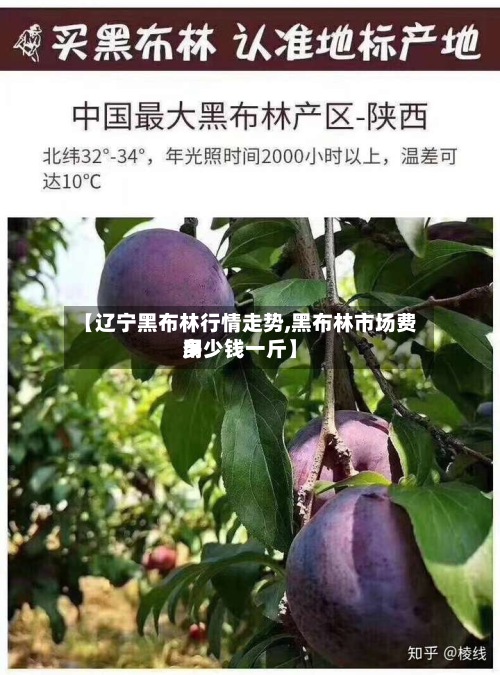 【辽宁黑布林行情走势,黑布林市场费用
多少钱一斤】