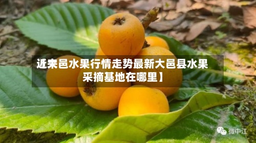 近来
【大邑水果行情走势最新大邑县水果采摘基地在哪里】
