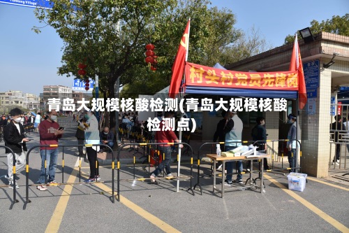 青岛大规模核酸检测(青岛大规模核酸检测点)-第2张图片