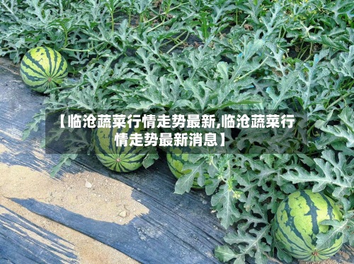 【临沧蔬菜行情走势最新,临沧蔬菜行情走势最新消息】-第2张图片