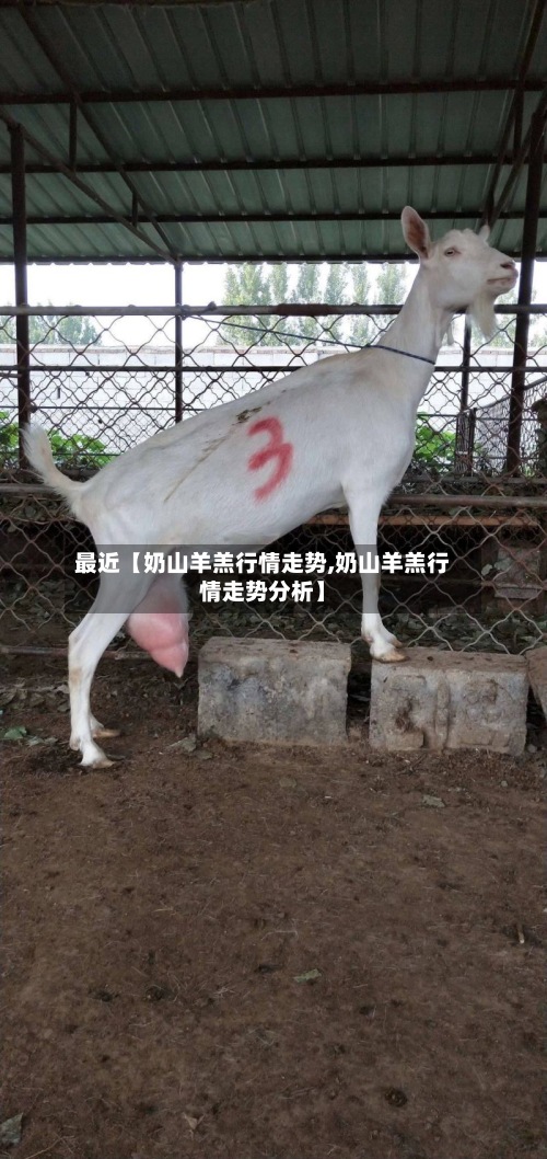 最近【奶山羊羔行情走势,奶山羊羔行情走势分析】-第2张图片