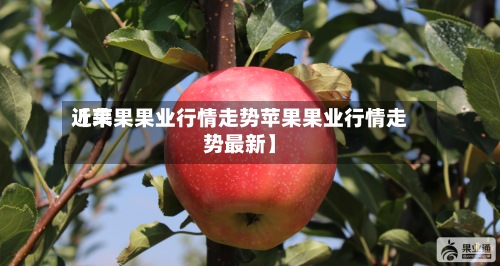 近来
【苹果果业行情走势苹果果业行情走势最新】