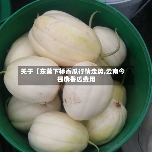 关于【东莞下桥香瓜行情走势,云南今日小香瓜费用行情】-第2张图片