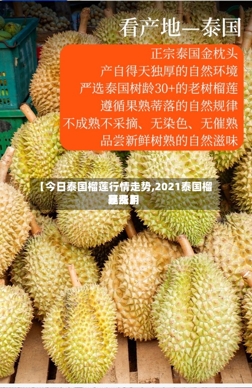 【今日泰国榴莲行情走势,2021泰国榴莲费用暴涨】