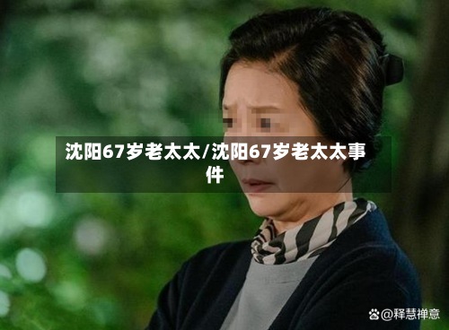 沈阳67岁老太太/沈阳67岁老太太事件-第3张图片