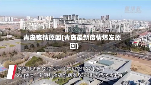 青岛疫情原因(青岛最新疫情爆发原因)-第2张图片