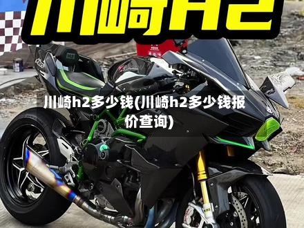 川崎h2多少钱(川崎h2多少钱报价查询)-第3张图片