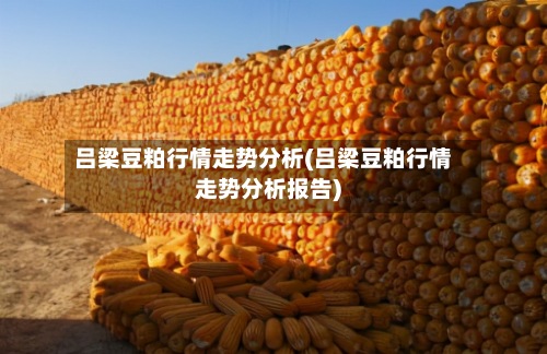 吕梁豆粕行情走势分析(吕梁豆粕行情走势分析报告)