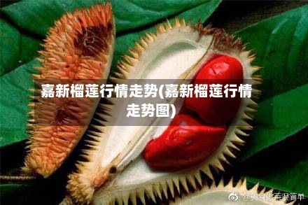 嘉新榴莲行情走势(嘉新榴莲行情走势图)