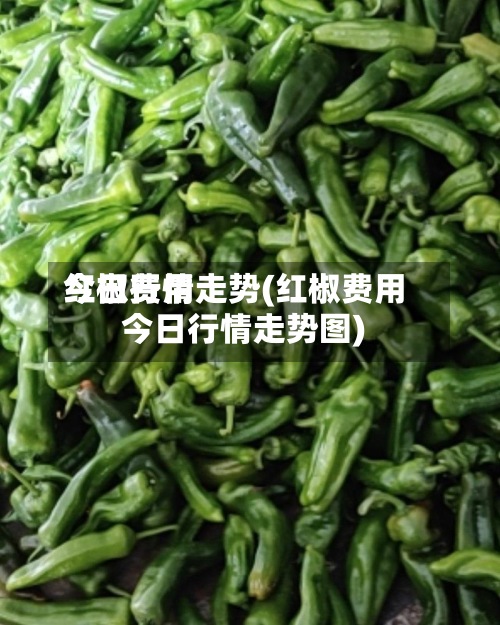 红椒费用今日行情走势(红椒费用今日行情走势图)