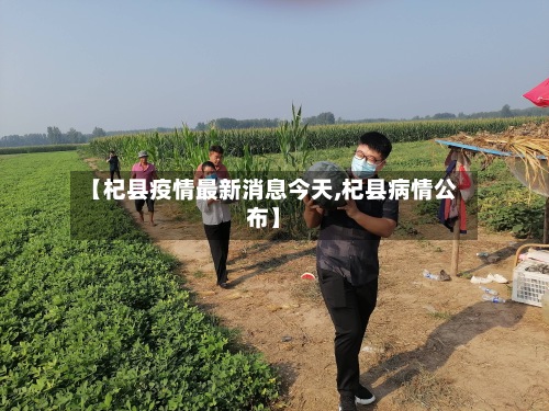 【杞县疫情最新消息今天,杞县病情公布】