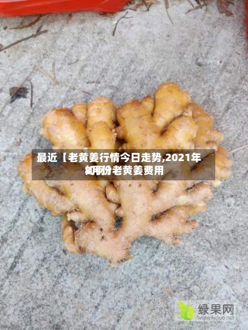 最近【老黄姜行情今日走势,2021年8月份老黄姜费用如何】