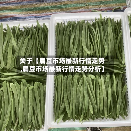 关于【扁豆市场最新行情走势,扁豆市场最新行情走势分析】