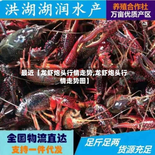 最近【龙虾炮头行情走势,龙虾炮头行情走势图】