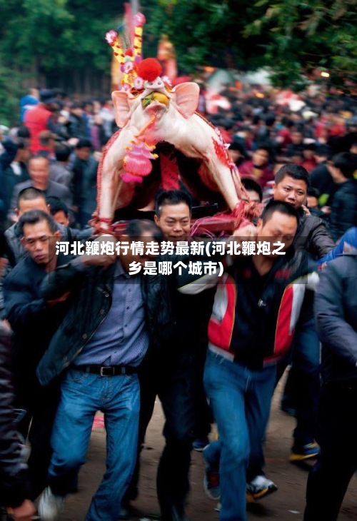 河北鞭炮行情走势最新(河北鞭炮之乡是哪个城市)