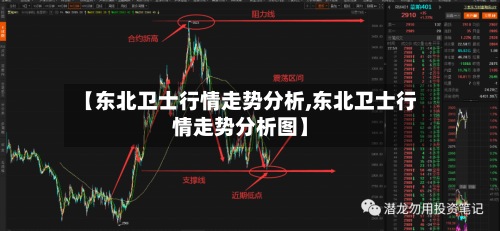 【东北卫士行情走势分析,东北卫士行情走势分析图】