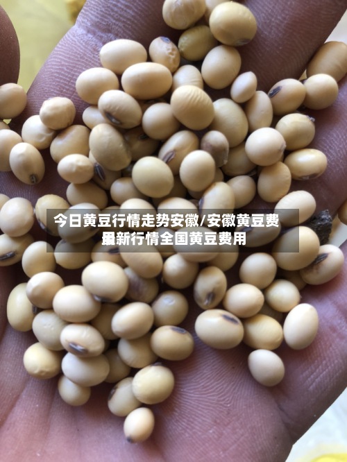 今日黄豆行情走势安徽/安徽黄豆费用最新行情全国黄豆费用-第2张图片