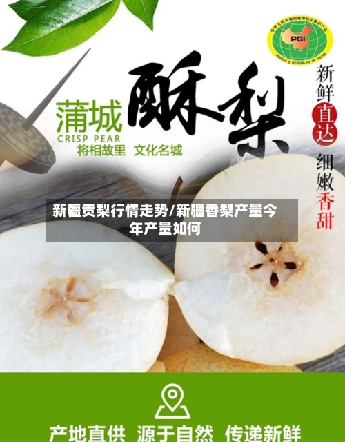 新疆贡梨行情走势/新疆香梨产量今年产量如何
