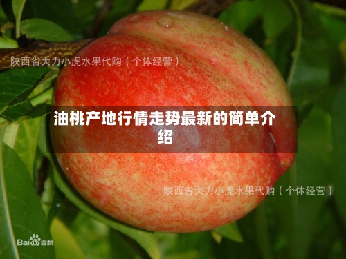 油桃产地行情走势最新的简单介绍