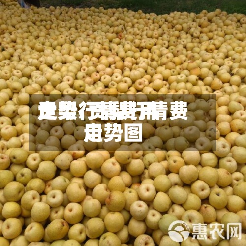 贡梨行情费用
走势/贡梨行情费用
走势图-第2张图片
