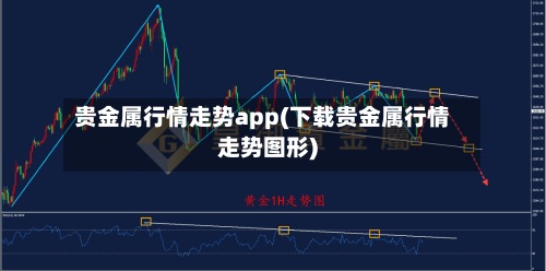 贵金属行情走势app(下载贵金属行情走势图形)