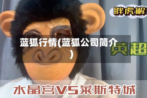 蓝狐行情(蓝狐公司简介)-第2张图片