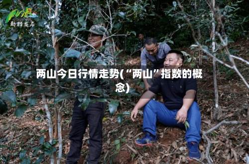 两山今日行情走势(“两山”指数的概念)-第2张图片