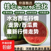 水冶西瓜行情走势/西瓜费用最新行情走势