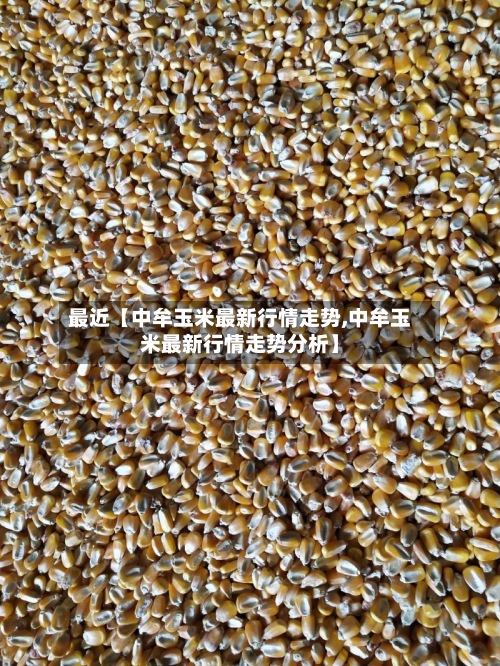 最近【中牟玉米最新行情走势,中牟玉米最新行情走势分析】-第3张图片