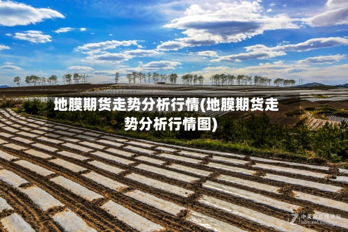 地膜期货走势分析行情(地膜期货走势分析行情图)