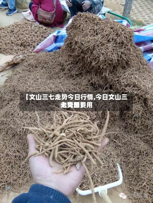 【文山三七走势今日行情,今日文山三七交易费用走势图】