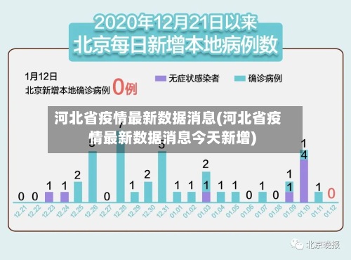 河北省疫情最新数据消息(河北省疫情最新数据消息今天新增)-第2张图片