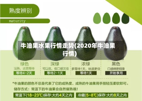 牛油果水果行情走势(2020年牛油果行情)-第2张图片