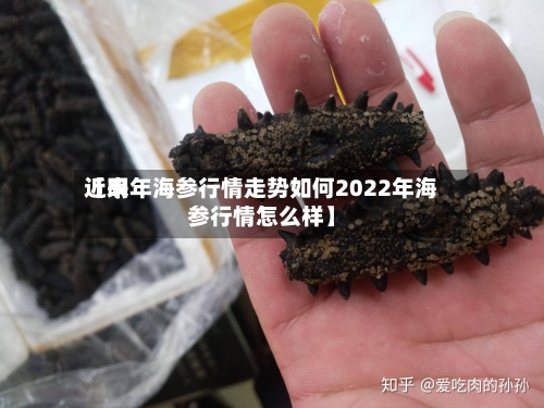 近来【明年海参行情走势如何2022年海参行情怎么样】