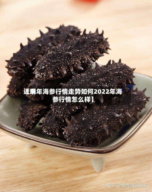 近来【明年海参行情走势如何2022年海参行情怎么样】-第2张图片