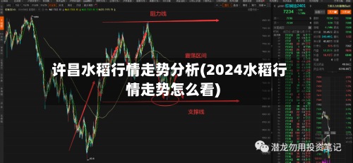 许昌水稻行情走势分析(2024水稻行情走势怎么看)-第2张图片