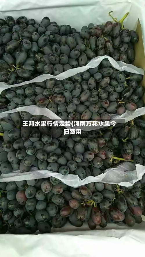 王邦水果行情走势(河南万邦水果今日费用)