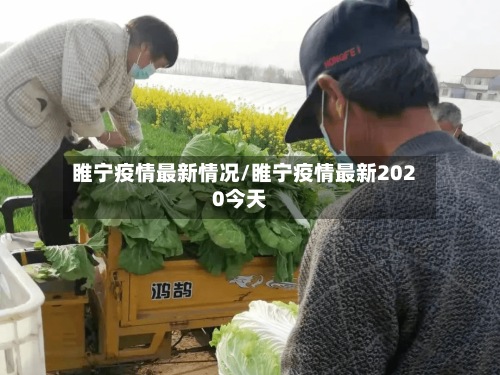 睢宁疫情最新情况/睢宁疫情最新2020今天-第3张图片