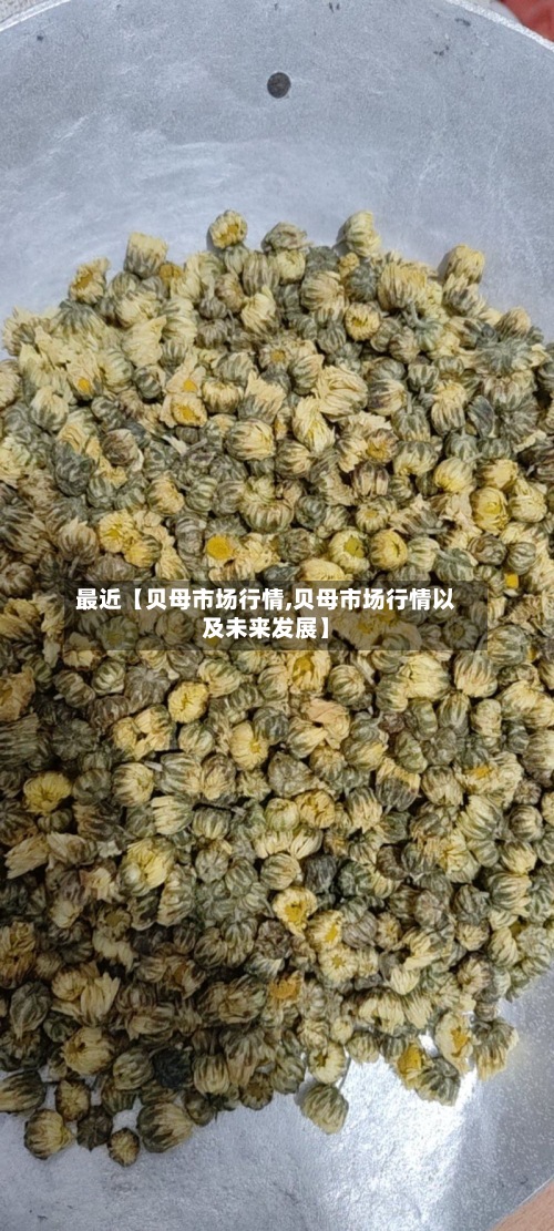 最近【贝母市场行情,贝母市场行情以及未来发展】