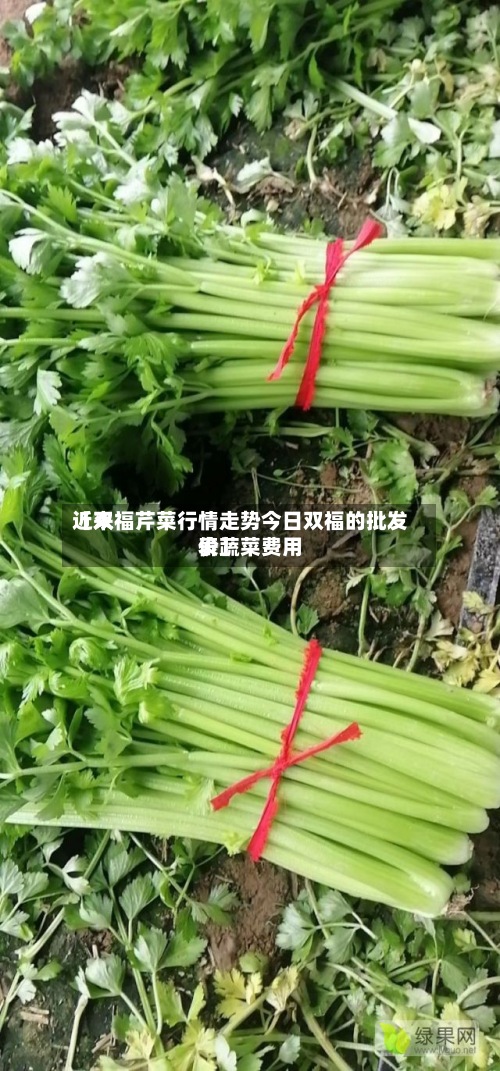 近来【双福芹菜行情走势今日双福的批发价蔬菜费用表】-第2张图片