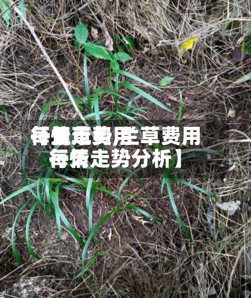 【兰草费用每天行情走势,兰草费用每天行情走势分析】-第2张图片