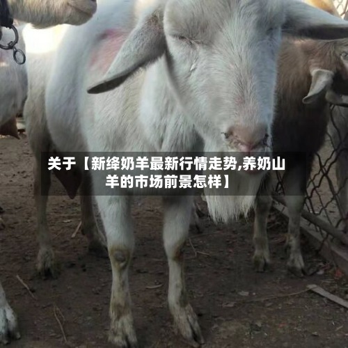 关于【新绛奶羊最新行情走势,养奶山羊的市场前景怎样】