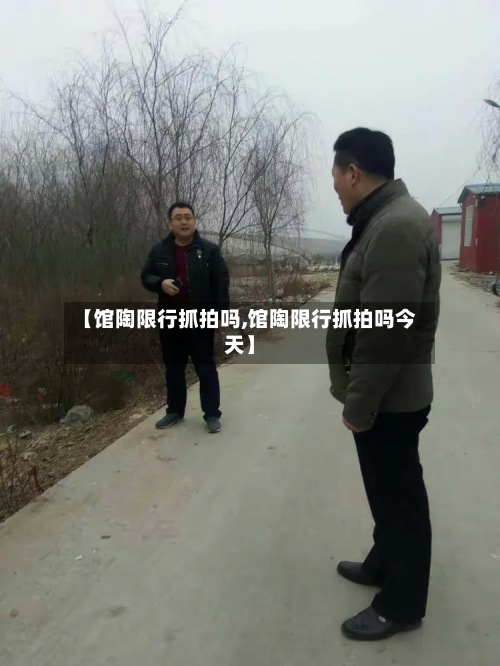 【馆陶限行抓拍吗,馆陶限行抓拍吗今天】-第2张图片