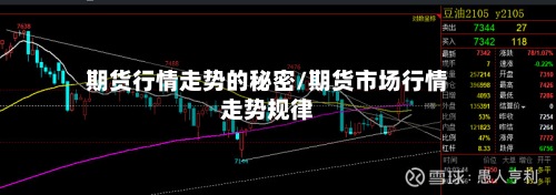 期货行情走势的秘密/期货市场行情走势规律