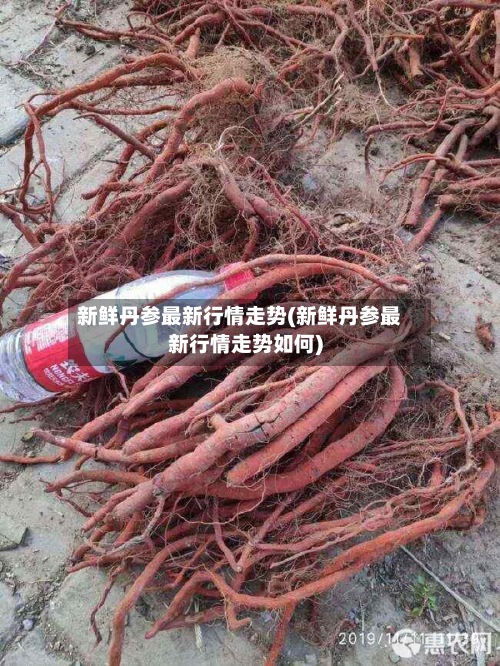 新鲜丹参最新行情走势(新鲜丹参最新行情走势如何)-第2张图片