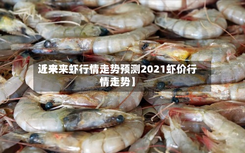 近来【未来虾行情走势预测2021虾价行情走势】-第2张图片