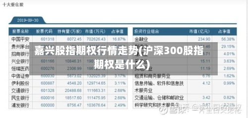 嘉兴股指期权行情走势(沪深300股指期权是什么)-第2张图片