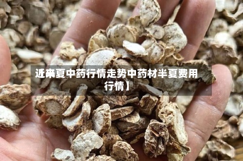 近来
【半夏中药行情走势中药材半夏费用
行情】